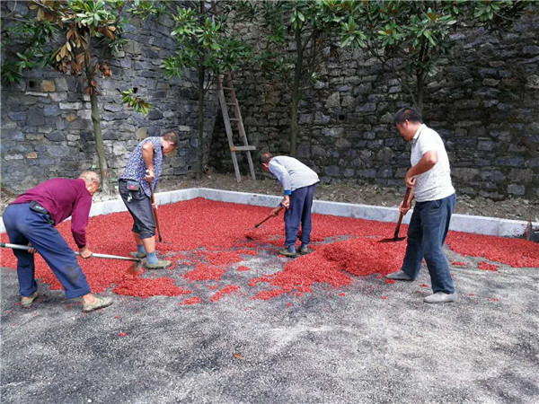 彩色沥青冷补料